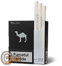 Camel Black 1 Cartons